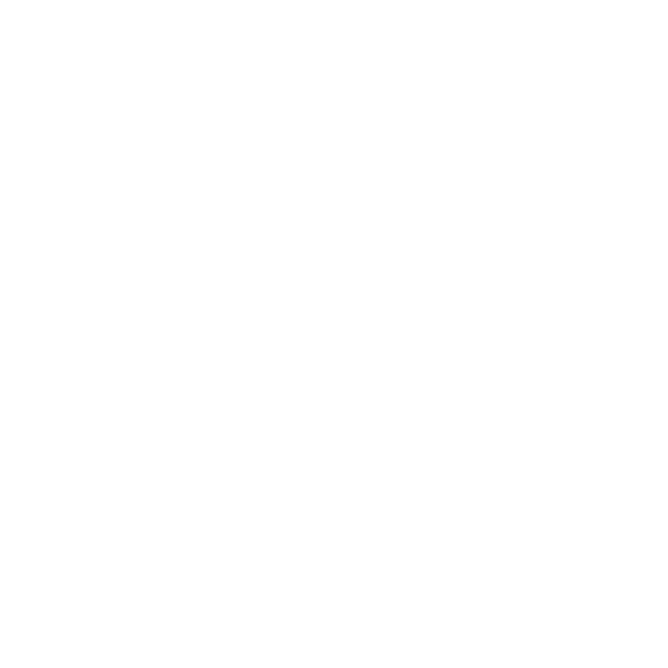 Garuda Brief